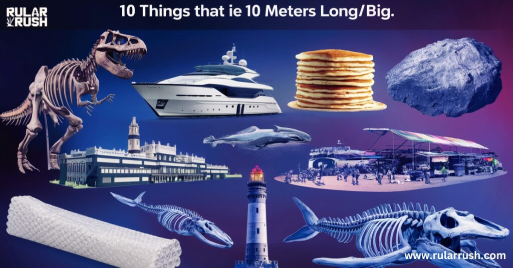 10 Things That Are 10 Meters Long/Big