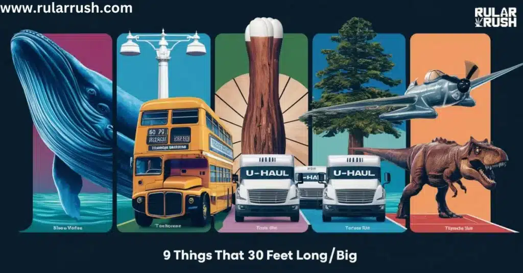 9 Things That Are 30 Feet Long/Big