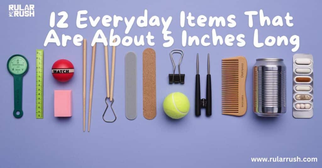 12 things that are 5 inches long