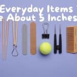 12 things that are 5 inches long