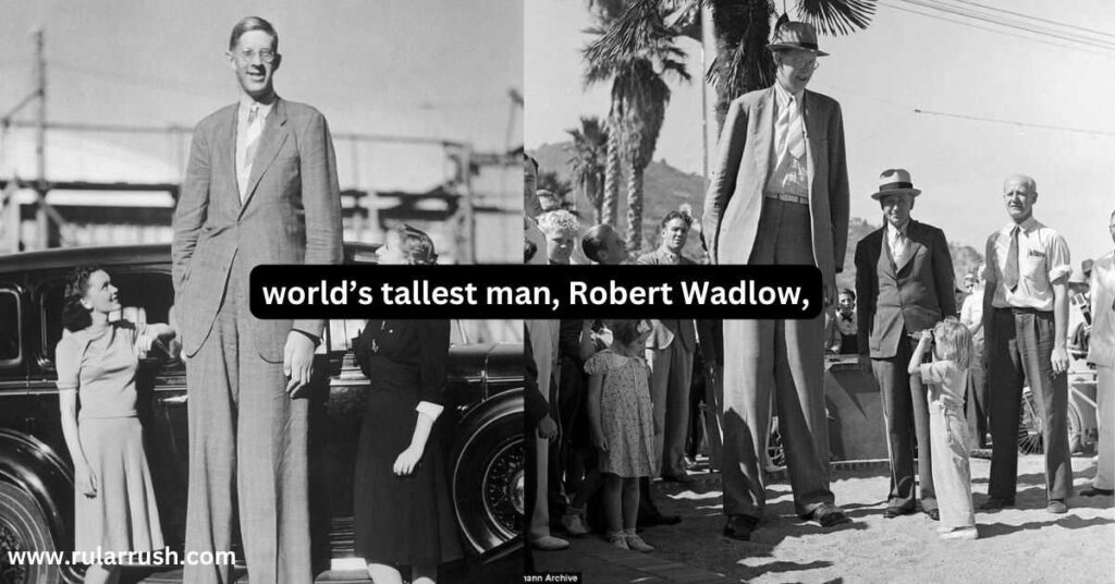 world’s tallest man, Robert Wadlow,