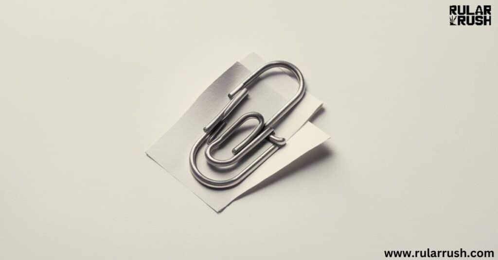 8. A Standard Paperclip